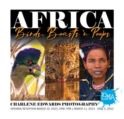 Charlene Edwards: Africa - Birds, Beasts 